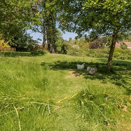 Damson Croft Lastingham